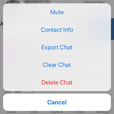 WhatsApp Notifikasi iPhone Mute